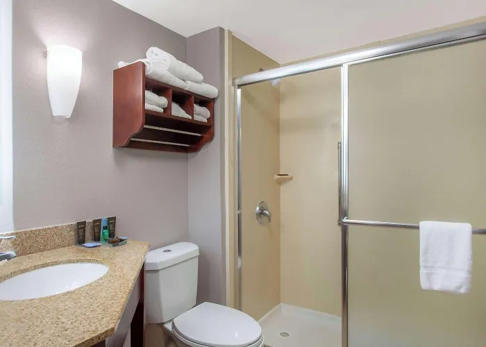 Wingate By Wyndham Charleston Coliseum Hotel