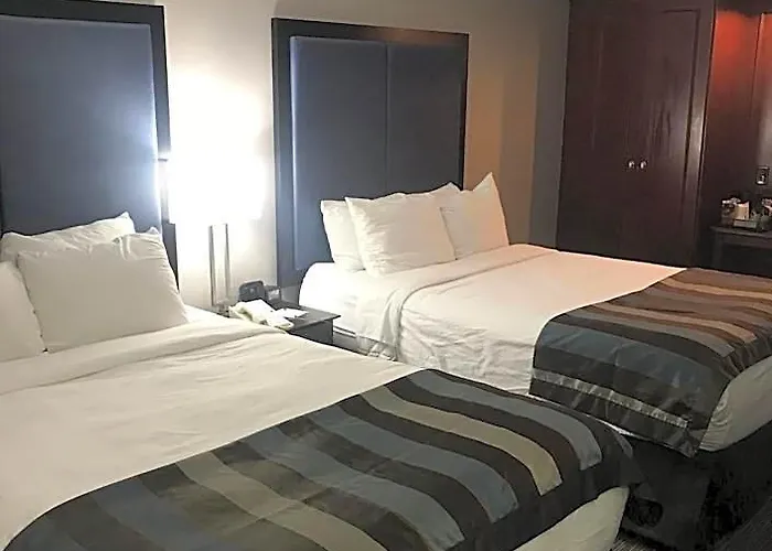 Wingate By Wyndham Charleston Coliseum Hotel