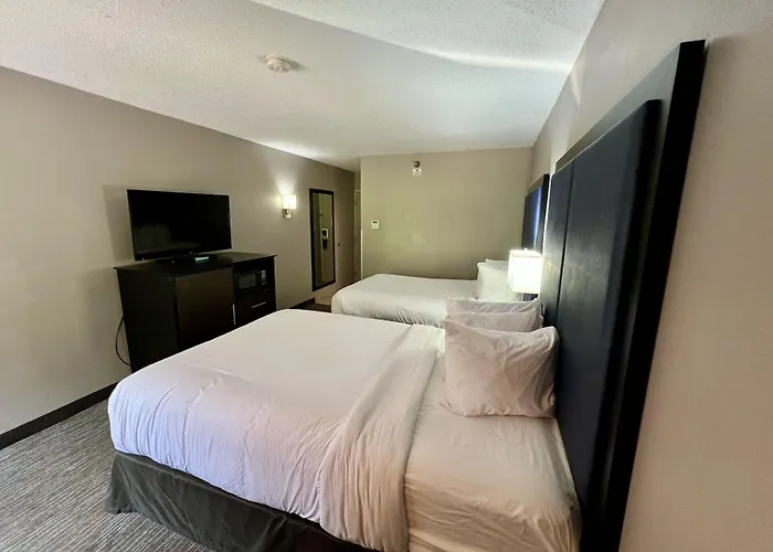 Wingate By Wyndham Charleston Coliseum Hotel 3*