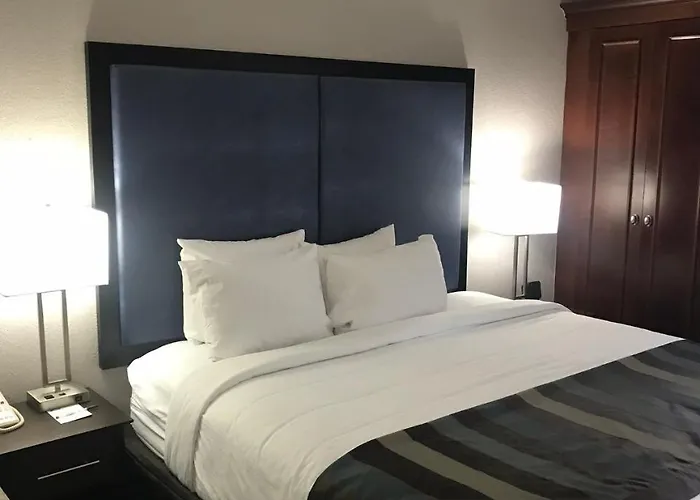 Hotel Wingate By Wyndham Charleston Coliseum