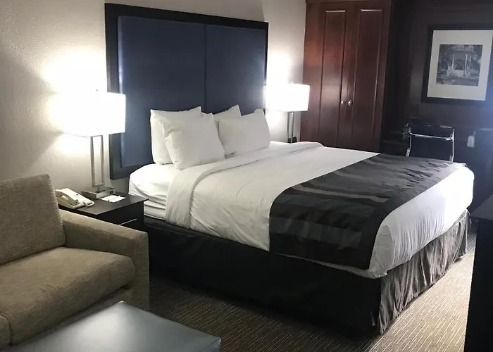 Wingate By Wyndham Charleston Coliseum